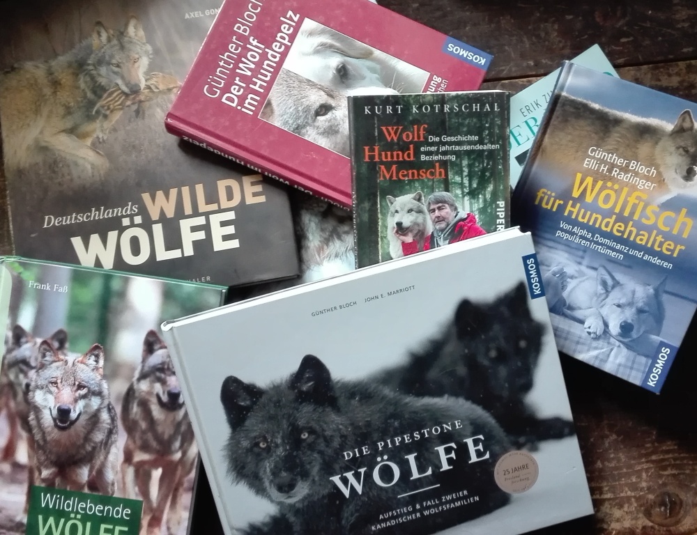 Bücher-Wölfe