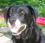 Leah_posing-on-MobilityParcours