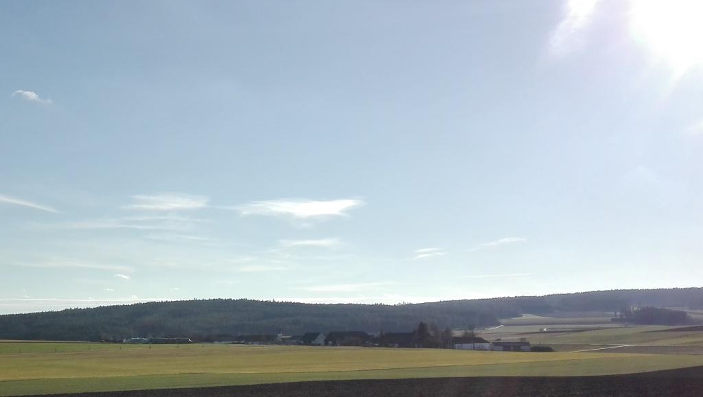 Backgroundstory – „Woodquarter“ &&nbsp;Politics