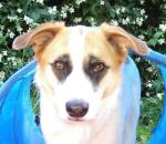 Speedy_MobilityParcours_tunnel