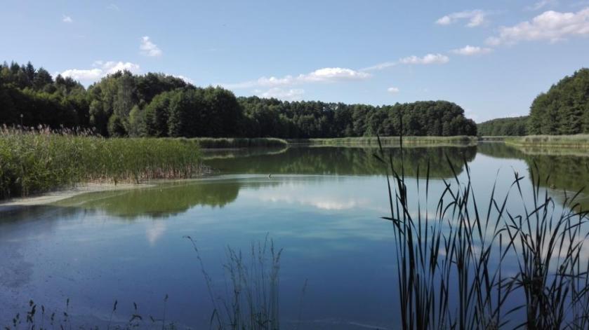 Dammersee_Panorama_Titelbild