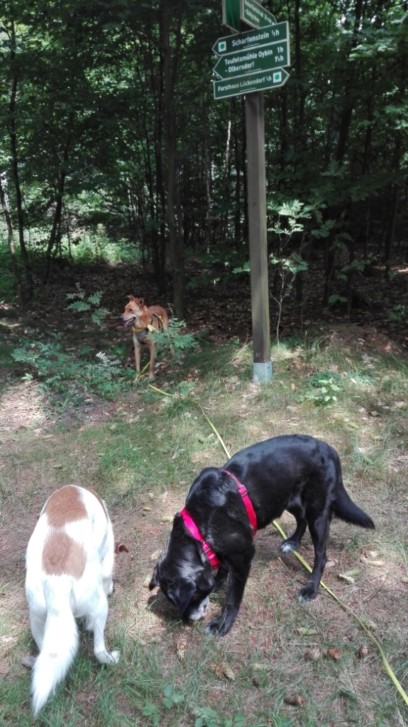Endlich-in-Deutschland_Lückendorf_Zittauer-Gebirge