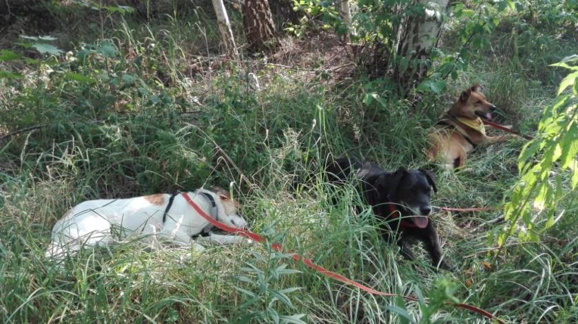 All-3_So-erholsam-ist's-im-Naturpark!