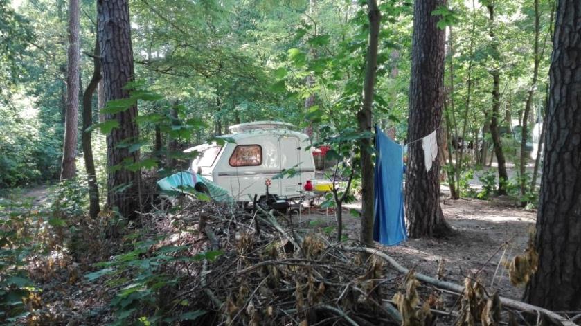 Blick-über-Benjeshecke-zum-Puscherl