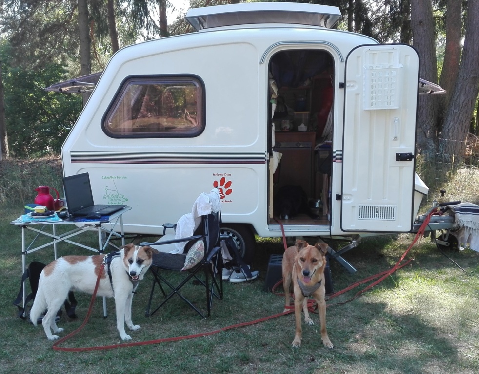Ferienhof-Altglobsow_Youngsterboys-like-old-campers