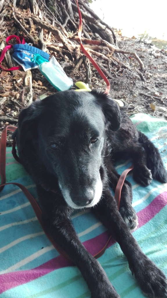 Leah-1.x-mit-mir-schwimmen-1