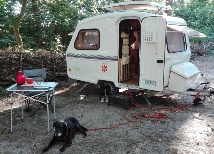 Mein-Platz_Leah-vorm-Puscherl_Chekotee-im-Türspalt