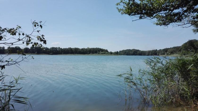 Seddinersee_Blick-aus-Badebucht