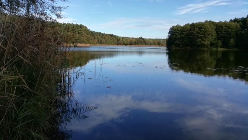 Henzendorfersee-komprimiert