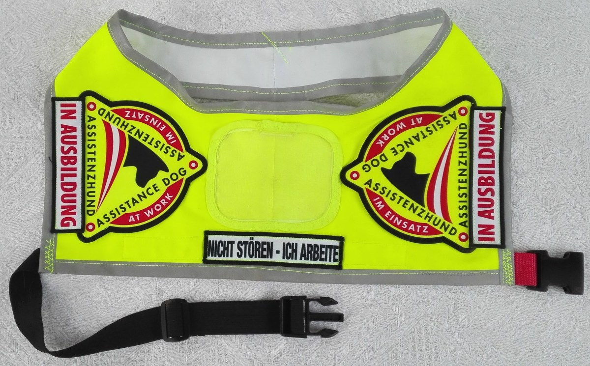 Tierschutzhunde als Assistenzhunde?