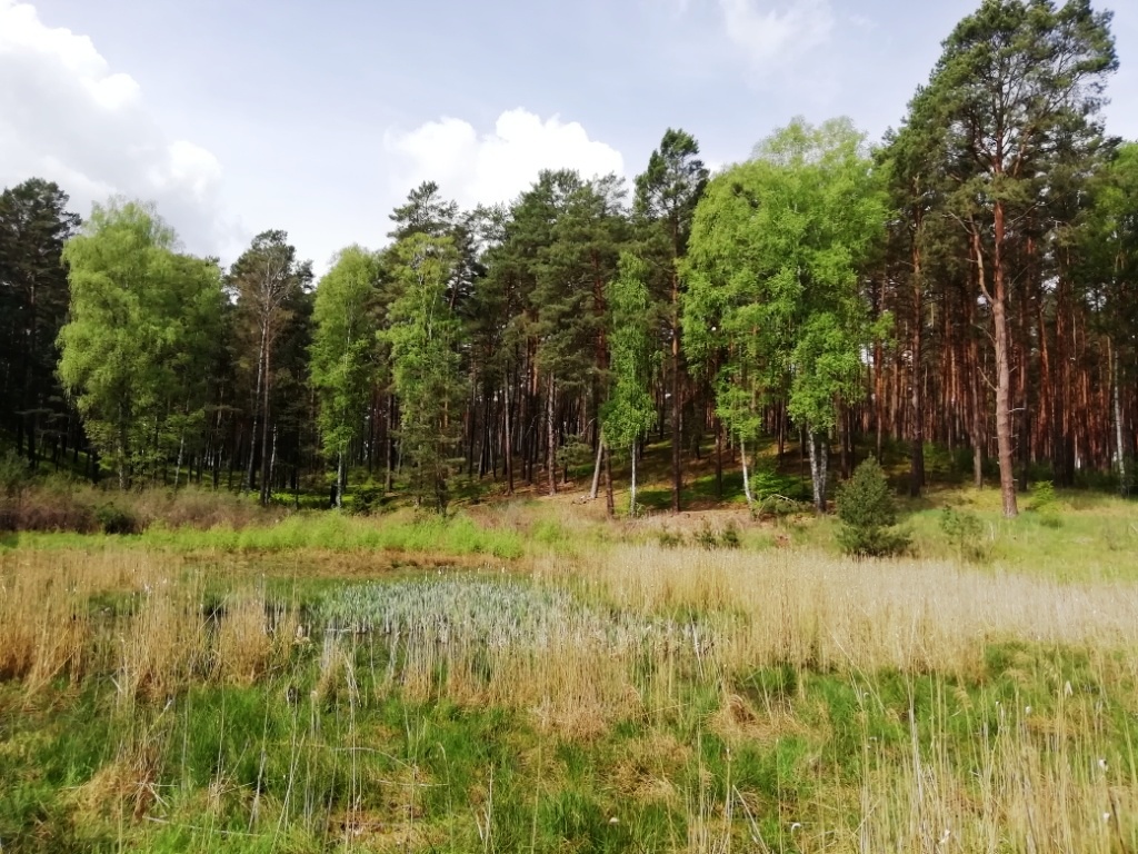 Trautzke-Seen und Moore – Teil 4:&nbsp;Trautzke-1