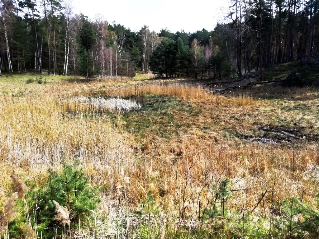 Trautzke-Seen und Moore – Teil 1: Lage und&nbsp;Geomorphologie